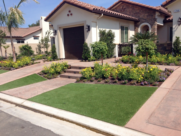 Fake Grass Carpet Casa Colorada, New Mexico Gardeners, Front Yard Ideas