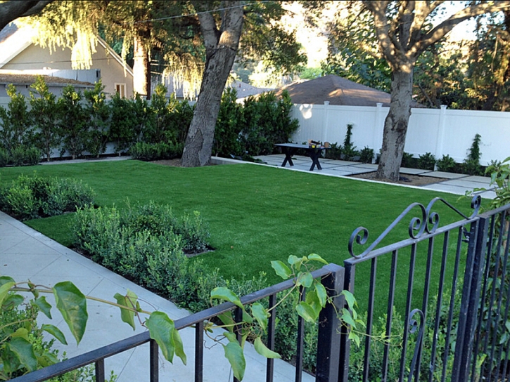 Fake Grass Carpet Cimarron, New Mexico Lawn And Landscape, Front Yard Landscaping