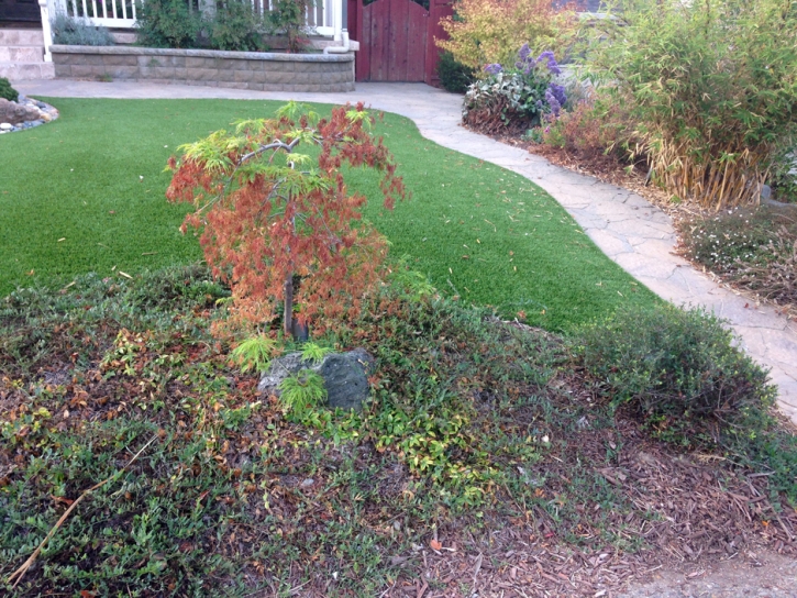 Fake Grass Carpet Luis Lopez, New Mexico Garden Ideas, Front Yard Design