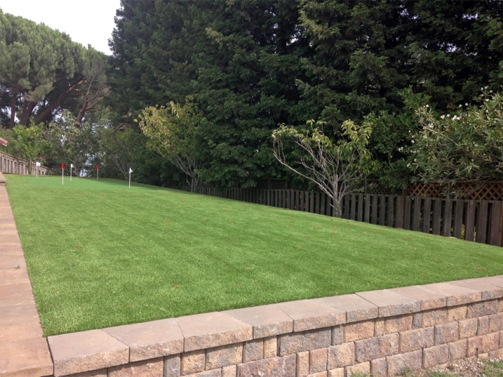 Fake Grass Carpet Madrid, New Mexico Putting Greens, Backyard Makeover