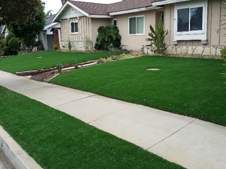 Fake Grass Carpet Playas, New Mexico Rooftop, Front Yard Design