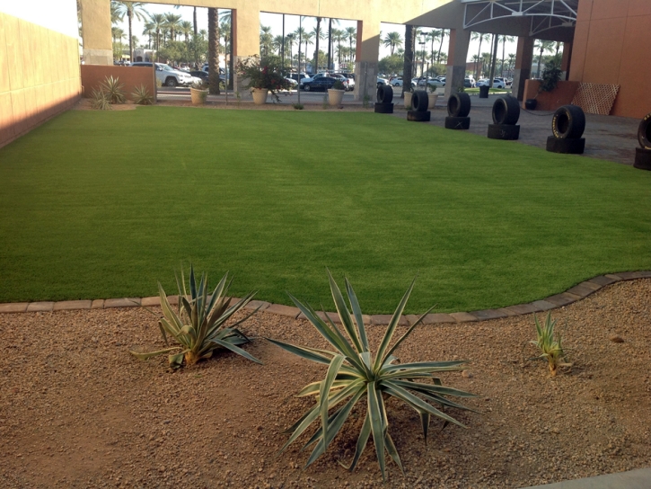 Fake Grass Carpet Sandia Knolls, New Mexico Backyard Playground, Commercial Landscape