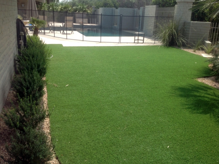 Fake Grass Carpet Sena, New Mexico Landscape Ideas, Swimming Pool Designs