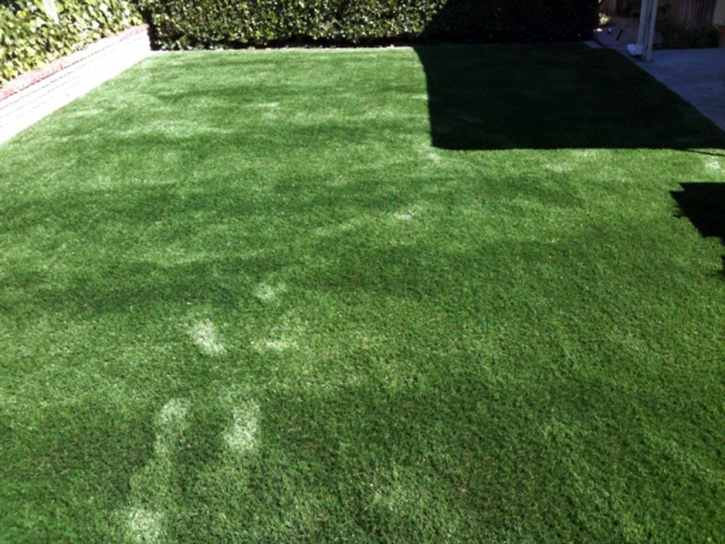 Fake Grass Chamizal, New Mexico Dog Running, Backyard Design