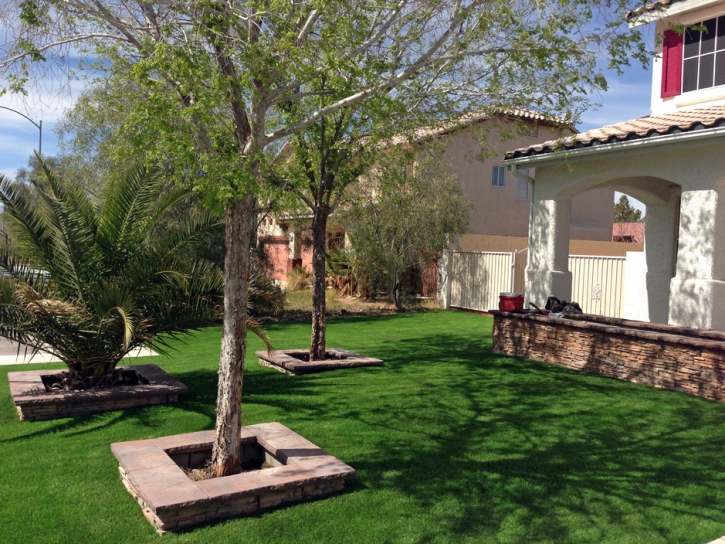 Fake Grass Elephant Butte, New Mexico Lawns, Front Yard Ideas