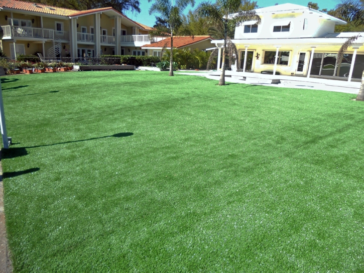 Fake Grass Ruidoso, New Mexico Landscape Ideas, Natural Swimming Pools