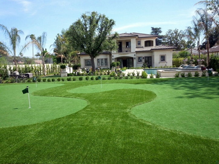 Fake Grass Watrous, New Mexico Indoor Putting Greens, Small Front Yard Landscaping