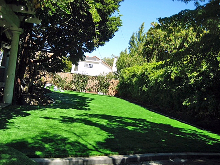 Fake Lawn Cochiti, New Mexico Lawn And Landscape, Backyard Design