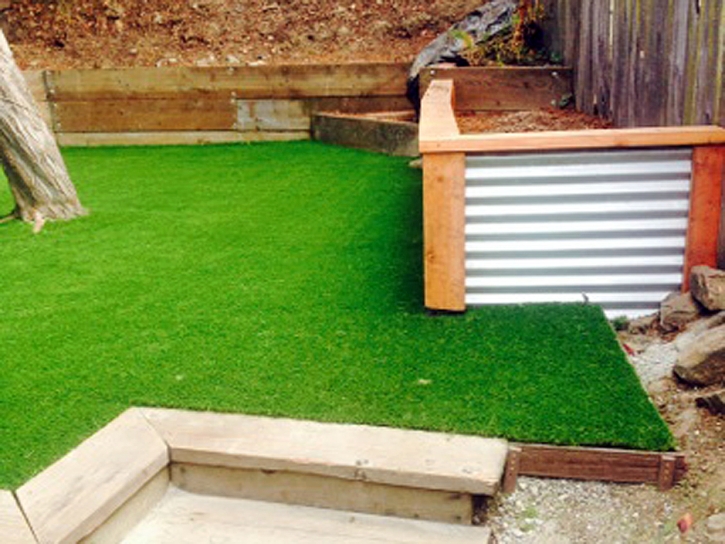 Fake Lawn Grady, New Mexico City Landscape, Backyard Designs