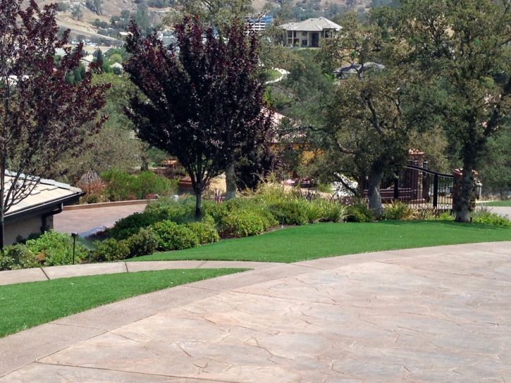 Fake Lawn Madrone, New Mexico Roof Top, Front Yard Ideas