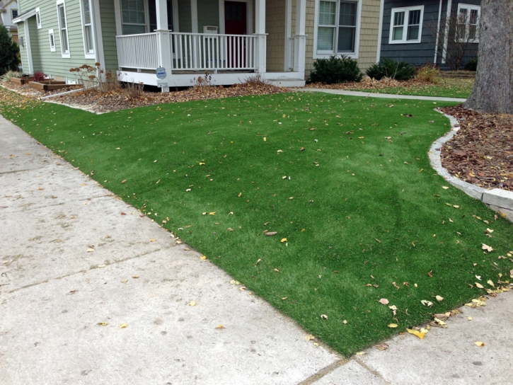 Fake Lawn Mountainair, New Mexico Home And Garden, Front Yard Design