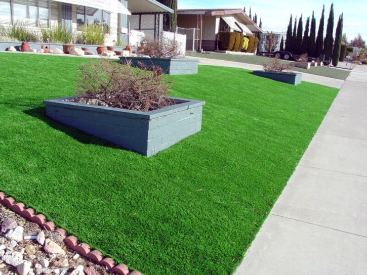 Fake Lawn Rodey, New Mexico Lawn And Landscape, Front Yard Landscaping