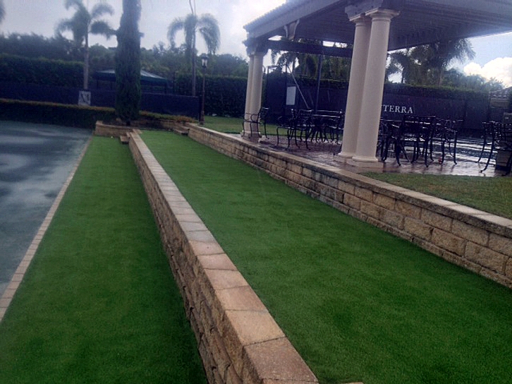 Fake Turf Capulin, New Mexico Home And Garden, Commercial Landscape