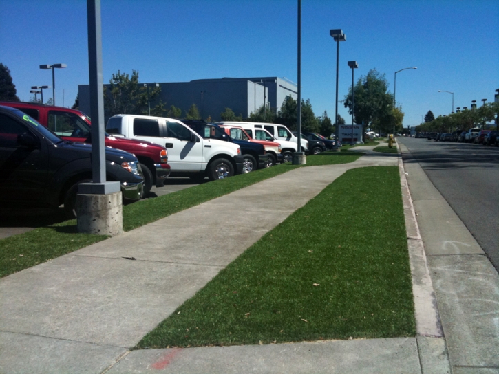 Fake Turf Cerrillos, New Mexico Landscaping Business, Commercial Landscape