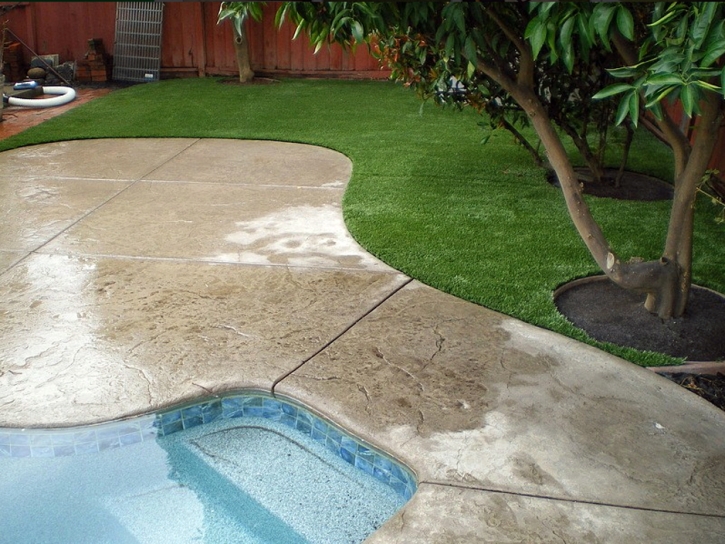 Fake Turf El Rancho, New Mexico Landscape Ideas, Backyard Design