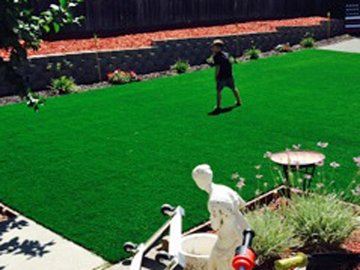 Fake Turf Logan, New Mexico Landscape Ideas, Backyard Makeover