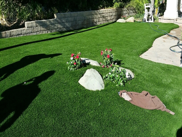 Fake Turf Loving, New Mexico Garden Ideas, Small Front Yard Landscaping