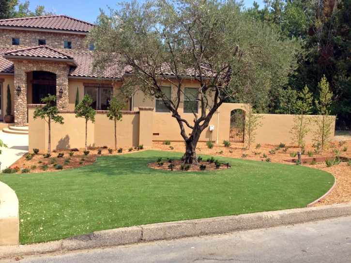 Fake Turf Luis Lopez, New Mexico Lawns, Small Front Yard Landscaping