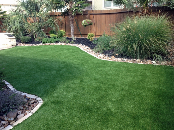 Fake Turf Raton, New Mexico Pet Turf, Backyard Landscaping Ideas