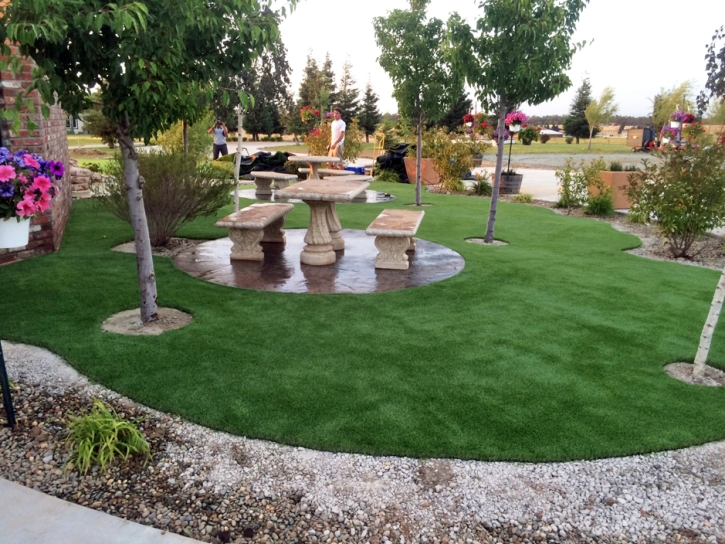 Fake Turf San Luis, New Mexico Garden Ideas, Commercial Landscape