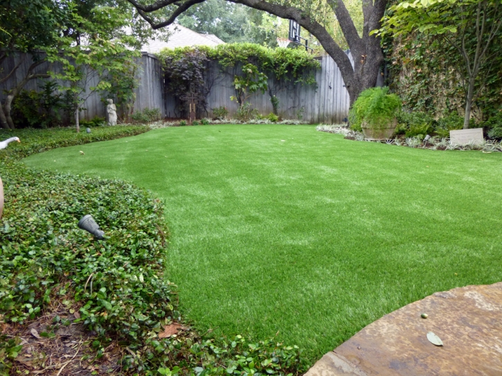 Faux Grass Black Rock, New Mexico Garden Ideas, Backyard