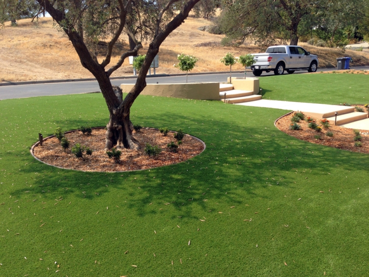 Faux Grass Hanover, New Mexico Paver Patio, Front Yard Design