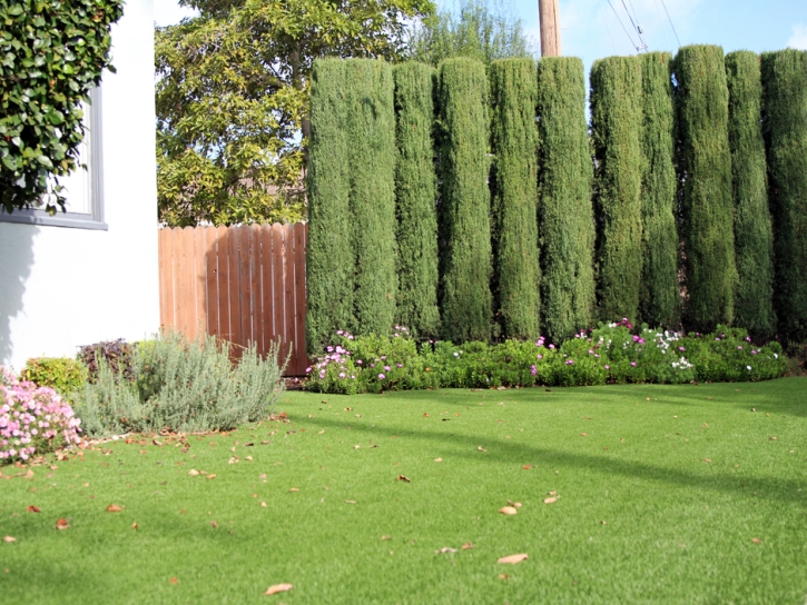 Faux Grass Newcomb, New Mexico Lawn And Garden, Landscaping Ideas For Front Yard