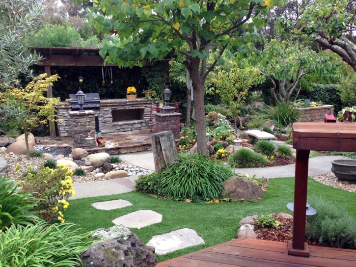 Faux Grass San Rafael, New Mexico Landscape Photos, Backyard Garden Ideas