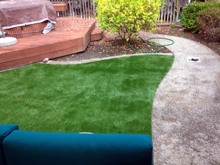 Faux Grass Taos Ski Valley, New Mexico Lawn And Landscape, Backyard Design