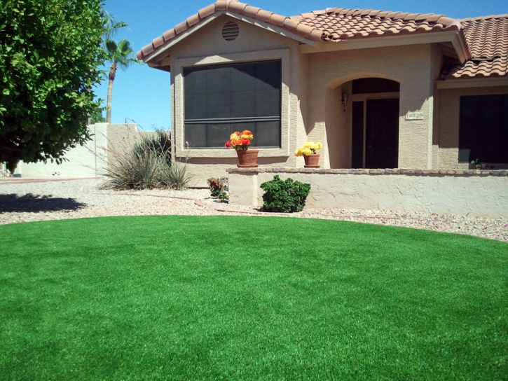 Grass Carpet Jacona, New Mexico Gardeners, Front Yard Ideas