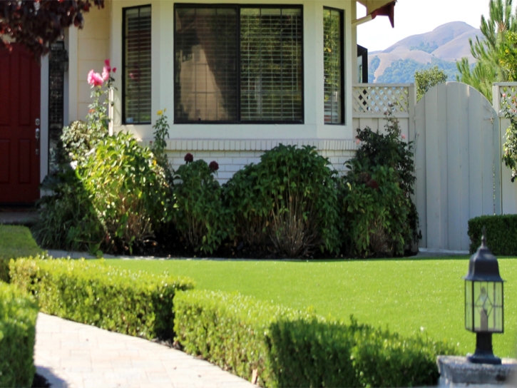 Grass Carpet Jemez Springs, New Mexico Landscaping Business, Front Yard