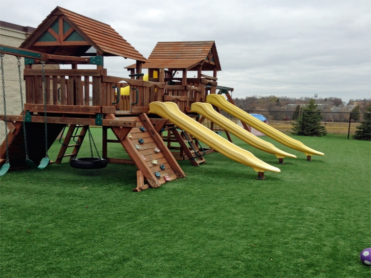 Grass Carpet Ponderosa Pine, New Mexico Backyard Deck Ideas, Commercial Landscape