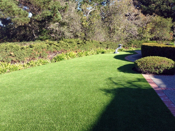 Grass Carpet Puerto De Luna, New Mexico Design Ideas, Front Yard Landscape Ideas