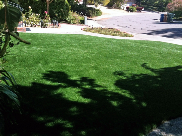 Grass Carpet San Acacia, New Mexico Landscape Photos, Small Front Yard Landscaping