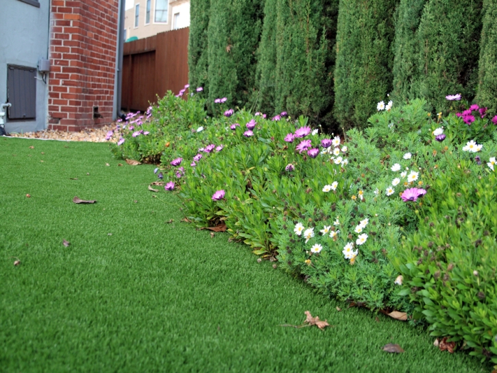 Grass Carpet Waterflow, New Mexico Design Ideas, Front Yard Landscaping Ideas