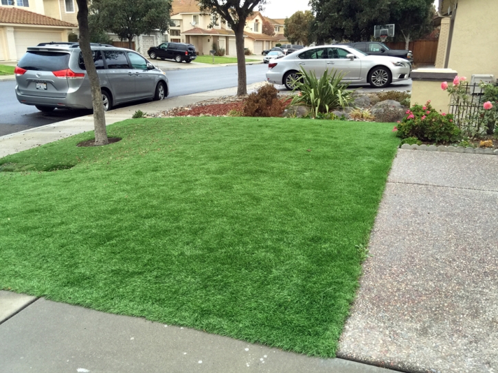 Grass Installation Aragon, New Mexico Landscape Design, Front Yard Ideas