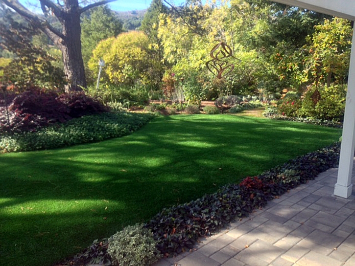 Grass Installation Encino, New Mexico Landscape Ideas, Backyard Landscape Ideas