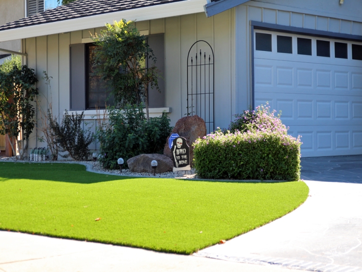 Grass Installation Ponderosa Pine, New Mexico Home And Garden, Front Yard Landscape Ideas