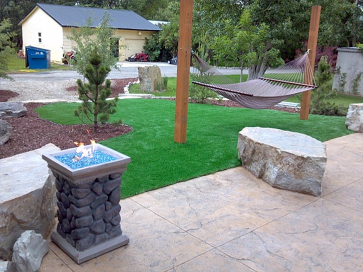 Grass Turf Arrey, New Mexico Landscaping, Front Yard Landscaping Ideas