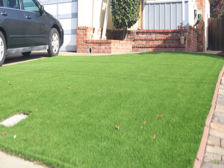 Grass Turf Elephant Butte, New Mexico Backyard Playground, Front Yard Landscaping