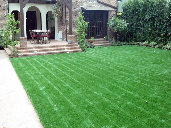 Grass Turf Lake Valley, New Mexico Lawn And Garden, Landscaping Ideas For Front Yard