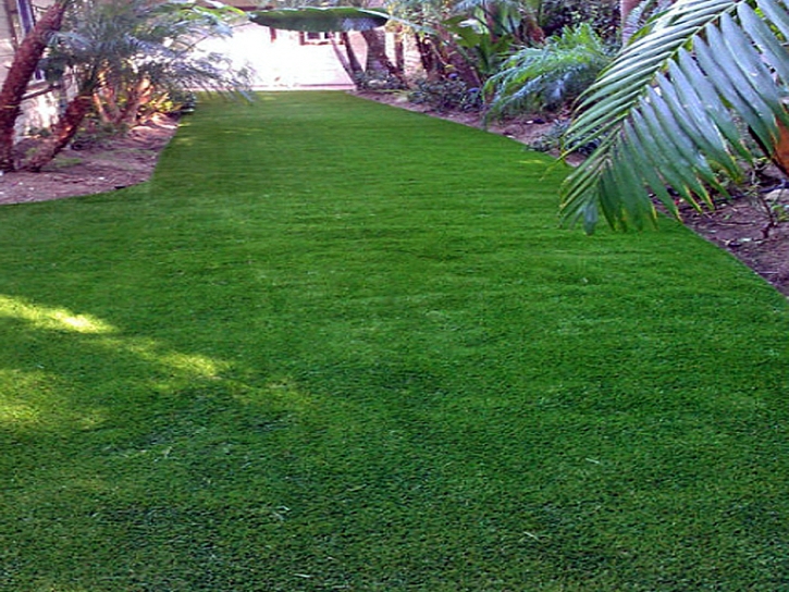 Grass Turf Sheep Springs, New Mexico Backyard Playground, Backyard Garden Ideas