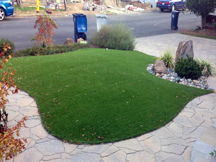 Grass Turf Vadito, New Mexico Landscape Photos