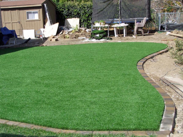 Green Lawn Bent, New Mexico Roof Top, Backyard Makeover