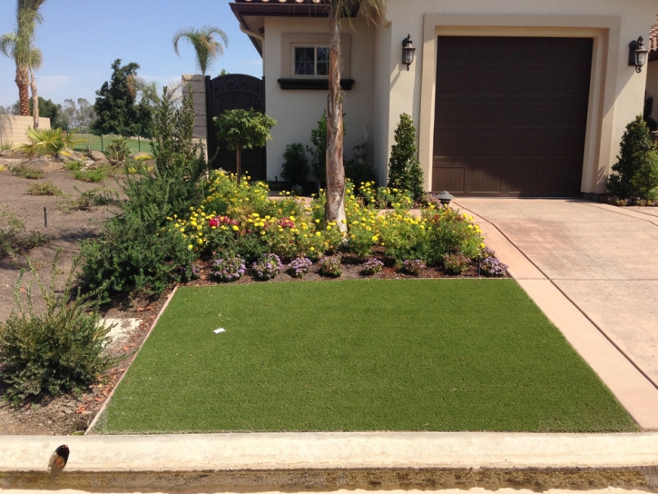 Green Lawn Hillsboro, New Mexico Gardeners, Front Yard Landscaping