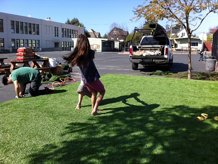 Green Lawn Navajo, New Mexico Backyard Playground, Commercial Landscape