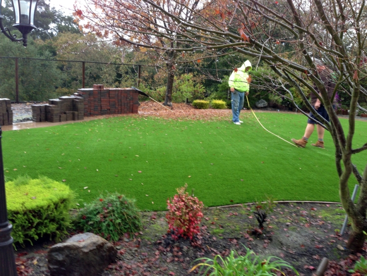 How To Install Artificial Grass Santa Fe, New Mexico Landscape Ideas, Backyard Landscape Ideas