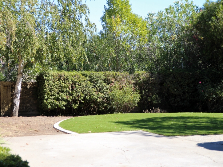 Installing Artificial Grass Bosque Farms, New Mexico Landscape Ideas, Small Backyard Ideas