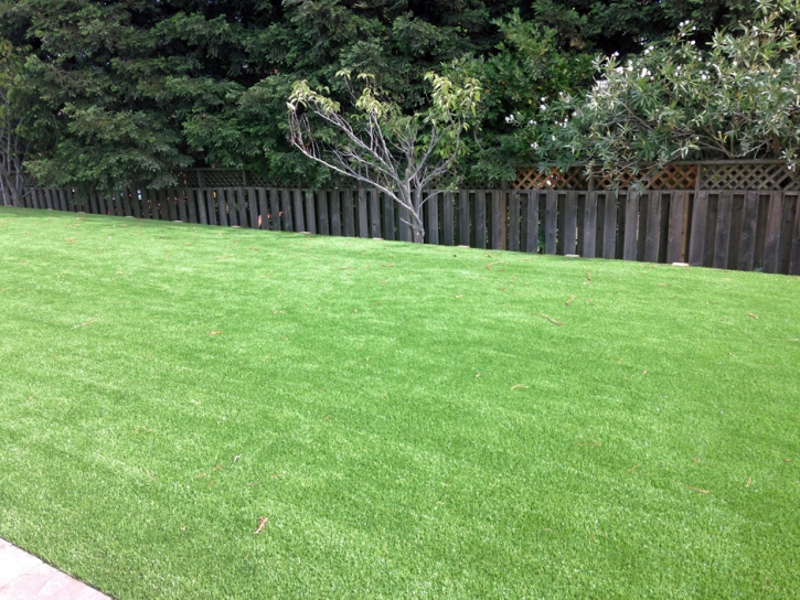 Installing Artificial Grass Canon, New Mexico Landscape Photos, Backyard Design