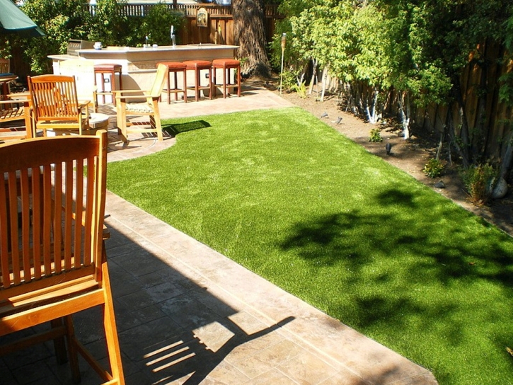 Installing Artificial Grass East Pecos, New Mexico Dog Running, Small Backyard Ideas